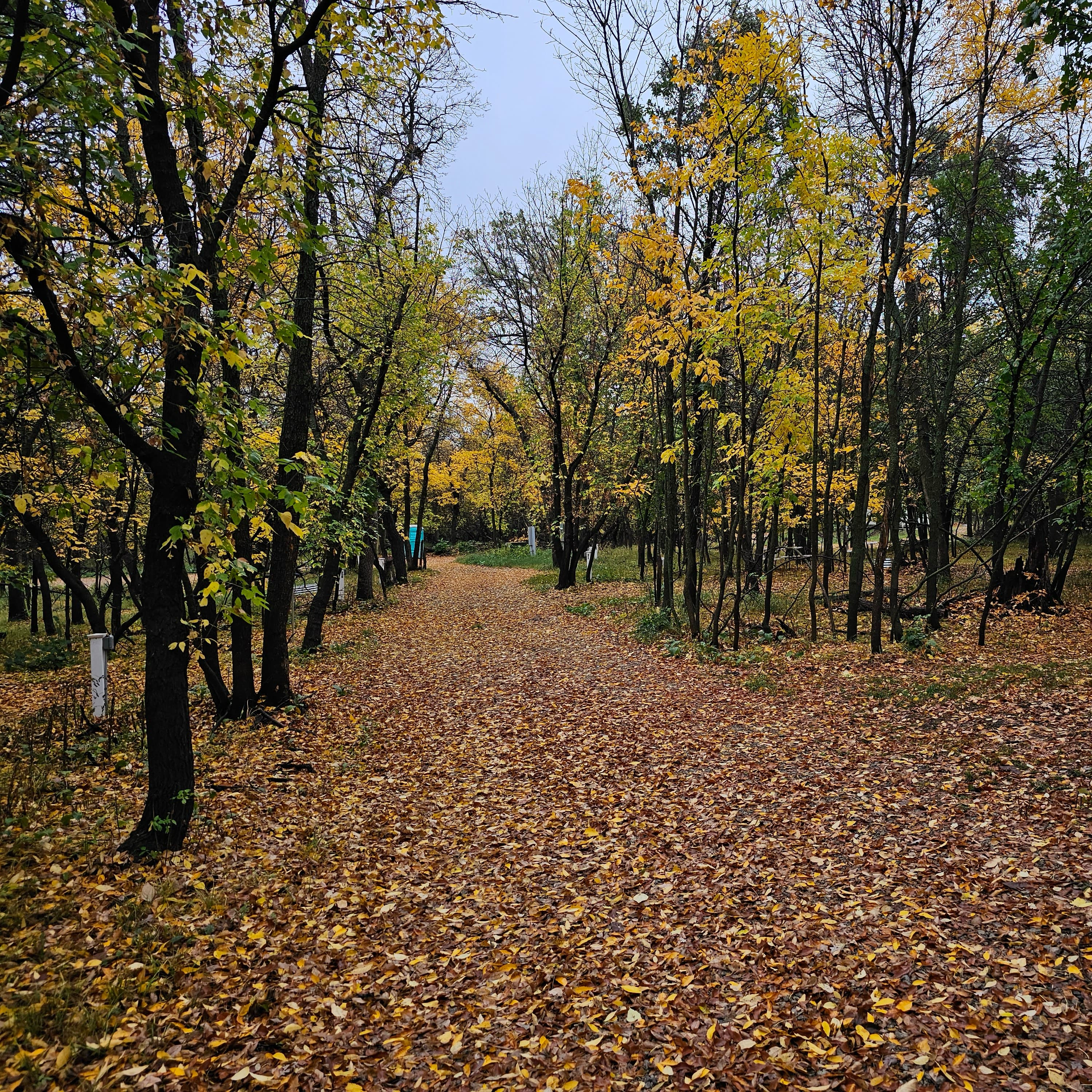 Photo of tent row in the fall