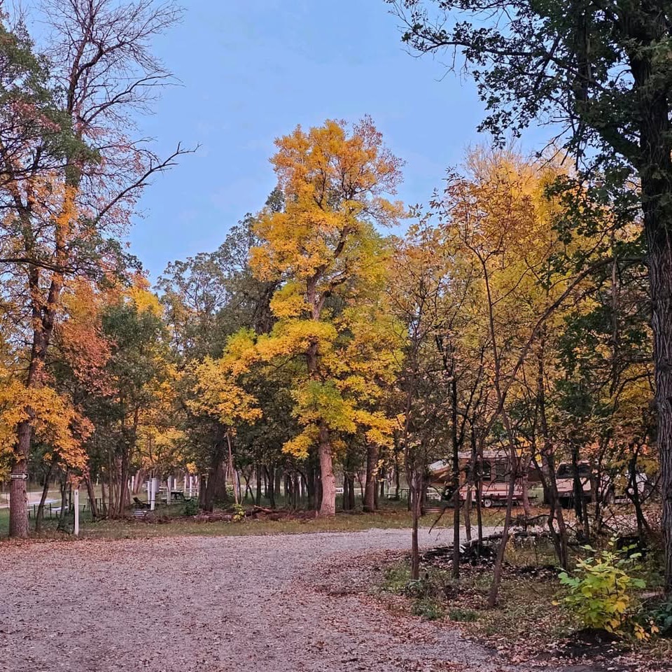 Photo of the main road during the fall