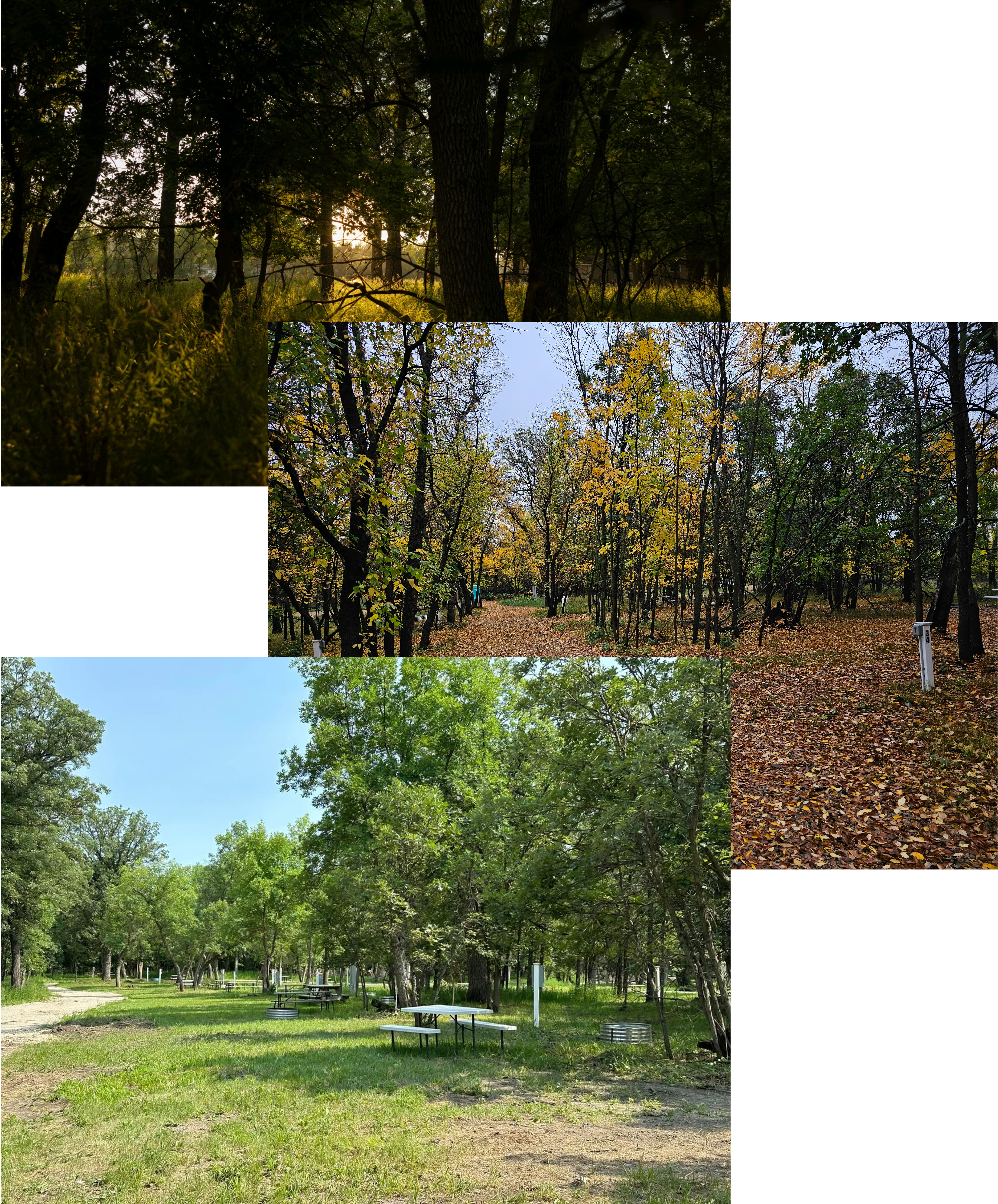 shots of the campground
